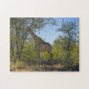 Quebra-cabeça Girafa em Habitat Natural, África