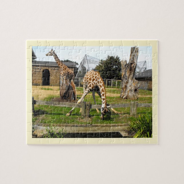 Quebra-cabeça Girafas (Horizontal)