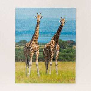 Quebra-cabeça Girafas na Savana, Uganda