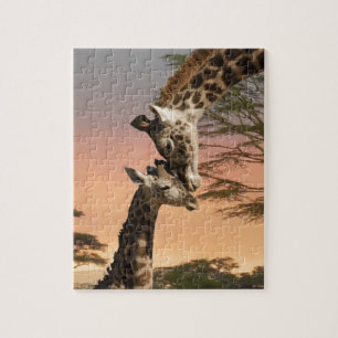 Quebra-cabeça Girafas que cumprimentam-se