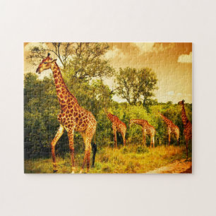 Quebra-cabeça Girafas sul-africanas