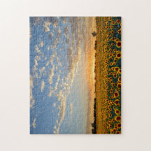 Girassóis no por do sol