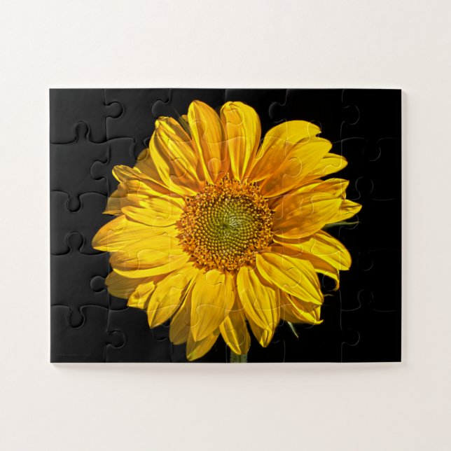 Quebra-cabeça Girassol 11x14 30pc jpcna (Horizontal)