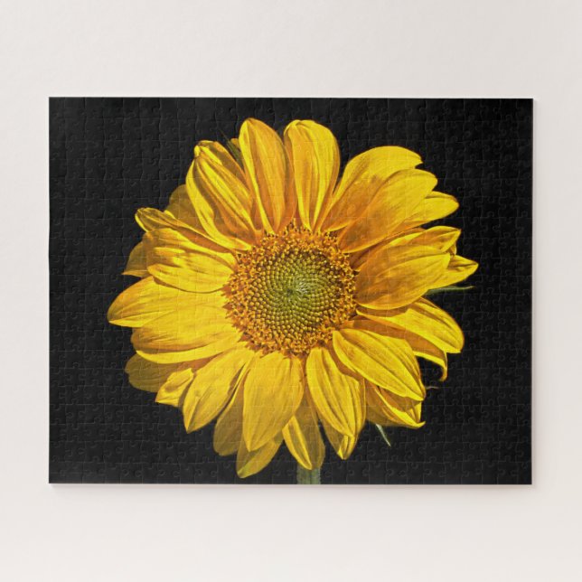 Quebra-cabeça Girassol 16x20 jpcnm 520pc (Horizontal)