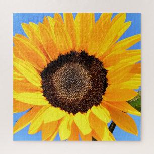 Quebra-cabeça Girassol Amarelo contra Sol no Céu Azul - Verão