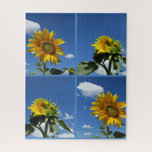 Quebra-cabeça girassol grande brilha azul-amarelo céu branco peq
