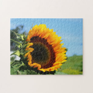 Quebra-cabeça Girassol No Efeito Orton Da Flor Sunshine
