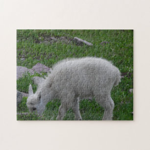 Quebra-cabeça Glacier National Park Baby Mountain Goat Foto