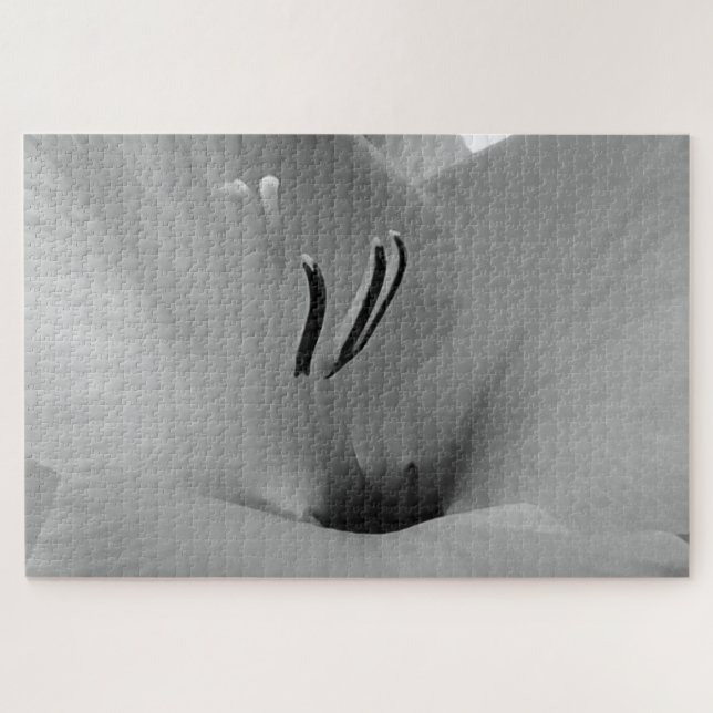 Quebra-cabeça Gladíolos brancos (Horizontal)