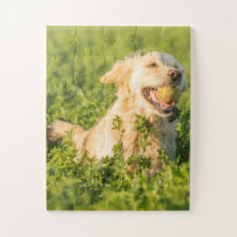 Quebra-cabeça Golden Retriever com Bola