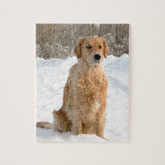 Quebra-cabeça Golden retriever na neve