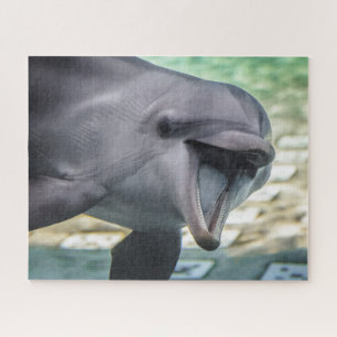 Quebra-cabeça Golfinho das imagens de Getty