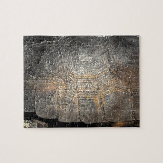 Quebra-cabeça Gopher Tortoise Shell (Horizontal)