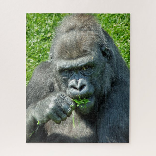 QUEBRA-CABEÇA GORILA BONITO (Vertical)