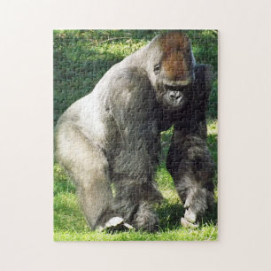 Quebra-cabeça Gorila masculino da planície do Silverback que