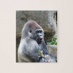 Quebra-cabeça Gorilla Jigsaw