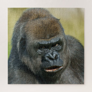 Quebra-cabeça Gorilla Madre