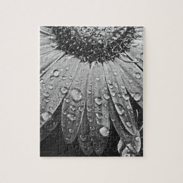 Quebra-cabeça Gotas cintilando da chuva na flor da margarida (Vertical)