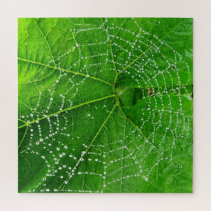 Quebra-cabeça Gotas da Web & da chuva de aranha na folha verde