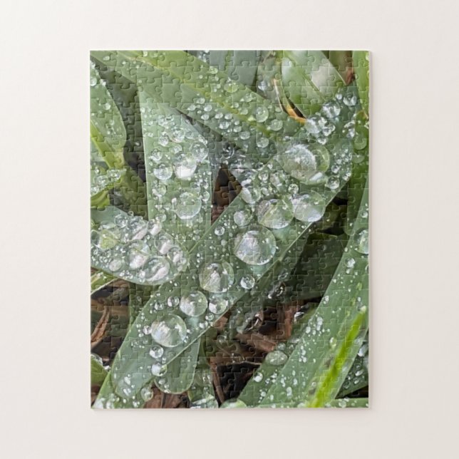 Quebra-cabeça Gotas de água na grama (Vertical)
