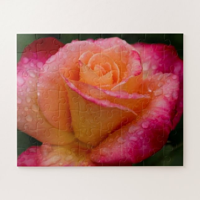 Quebra-cabeça Gotas de chuva nos Rosas 16x20 fáceis (Horizontal)
