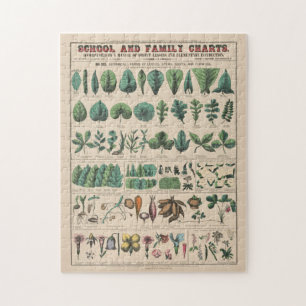 Quebra-cabeça Gráfico Antigo da Escola Botânica Natureza Vintage