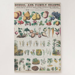 Quebra-cabeça Gráfico de Educação Botânica Escolar da Vintage 18