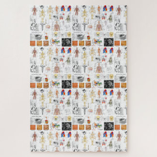 Quebra-cabeça Gráfico Médico da Anatomia Humana