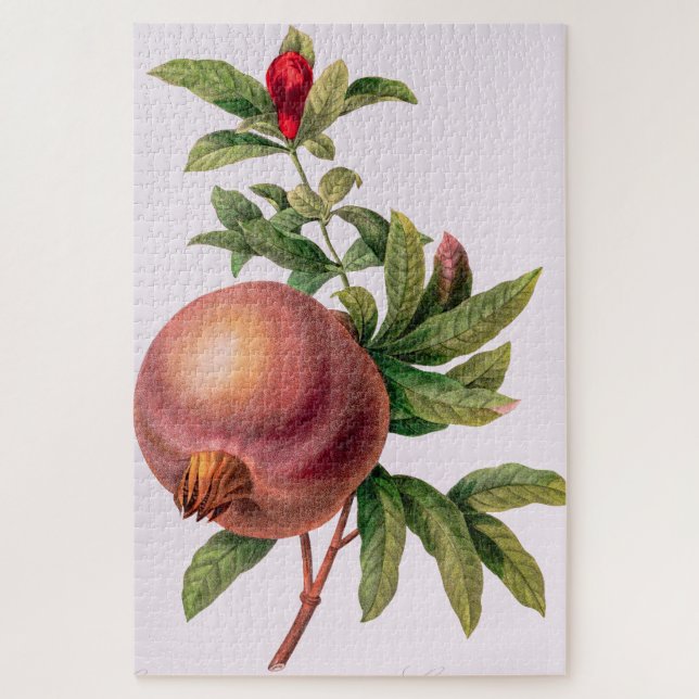 Quebra-cabeça Granada (Pomegranato) por Pierre Redout (Vertical)