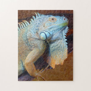Quebra-cabeça Grande Adulto Iguana Lizard