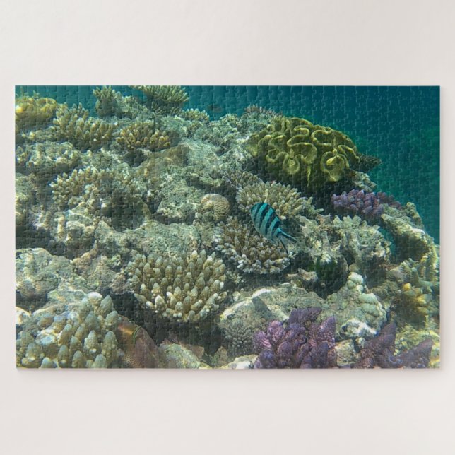 Quebra-cabeça grande barreira de coral (Horizontal)
