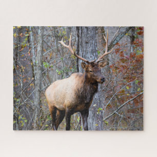 Quebra-cabeça Grande caçador de jogos - Bull Elk - 16x20 polega