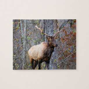 Quebra-cabeça Grande caçador de jogos - Época Elk - 8x10 poleg