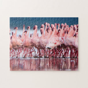Quebra-cabeça Grande Grupo de Flamingos Menores