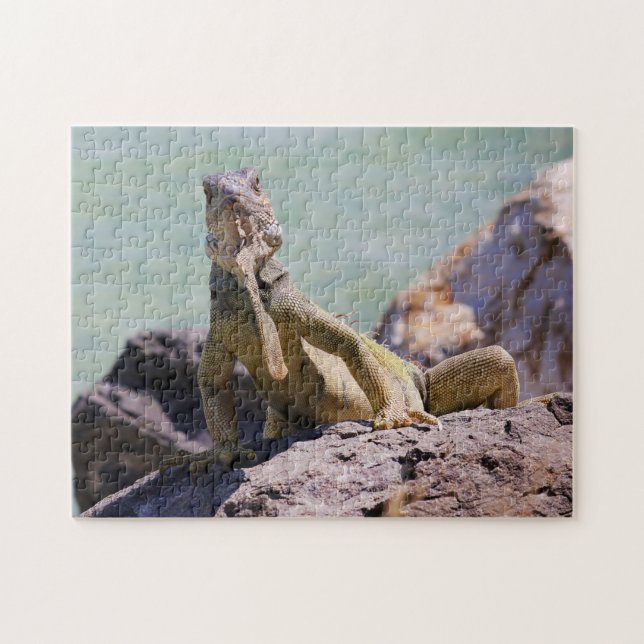 Quebra-cabeça Grande iguana porto-riquenha (Horizontal)