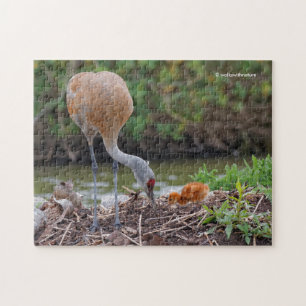 Quebra-cabeça Grande Sandhill Crane Pai e Filho