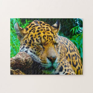 Quebra-cabeça Grandes Felinos Jaguar.