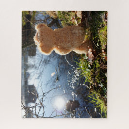 Quebra-cabeça Grappige beer die ondeugend plast. legpuzzel