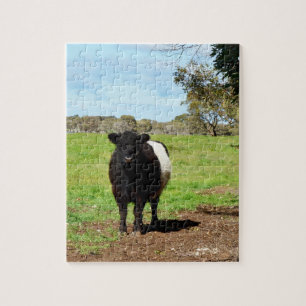 Quebra-cabeça Grávida Abaixo da Vaca Galloway,