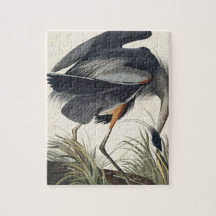 Quebra-cabeça Great Blue Heron from Birds of America