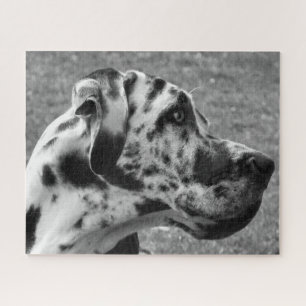 QUEBRA-CABEÇA GREAT DANE