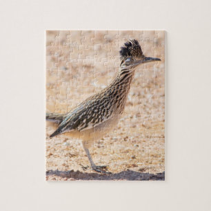 Quebra-cabeça Greater Roadrunner Portrait
