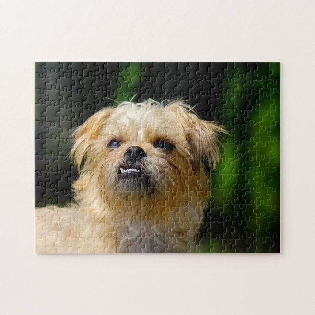 Quebra-cabeça Griffon Dog Jigsaws. (Horizontal)