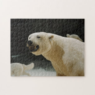 Quebra-cabeça Grin do Urso Polar