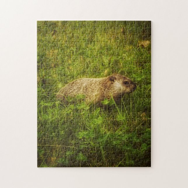 Quebra-cabeça Groundhog num campo (Vertical)