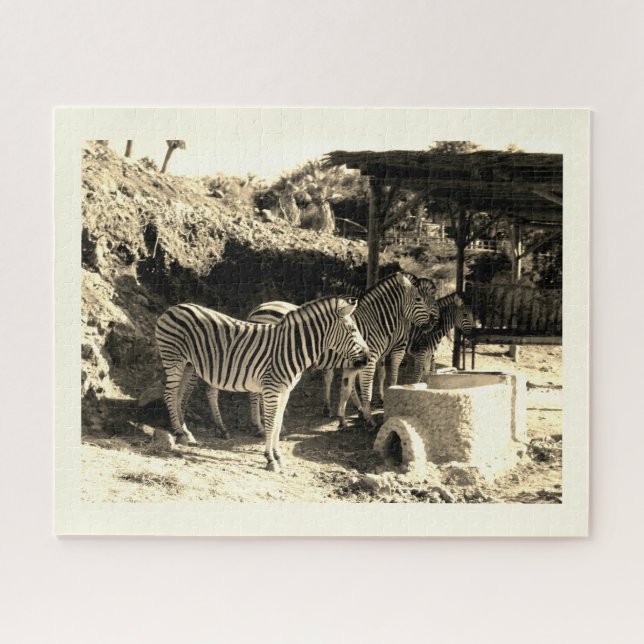 Quebra-cabeça Grupo das zebras (Horizontal)