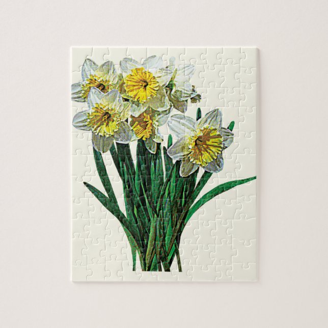 Quebra-cabeça Grupo de Daffodils Brancos (Vertical)