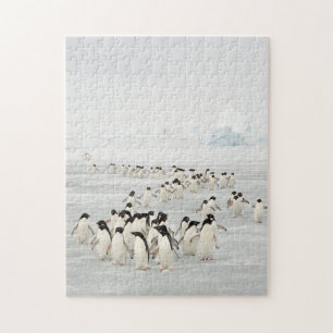 Quebra-cabeça Grupo de Pinguins