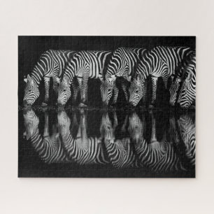 Quebra-cabeça Grupo de Zebras da Planície Bebem Juntos à Noite