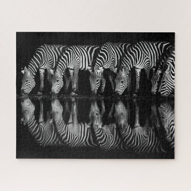 Quebra-cabeça Grupo de Zebras da Planície Bebem Juntos à Noite (Horizontal)